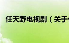 任天野电视剧（关于任天野电视剧的介绍）