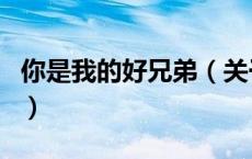你是我的好兄弟（关于你是我的好兄弟的介绍）