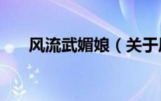 风流武媚娘（关于风流武媚娘的介绍）