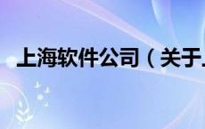 上海软件公司（关于上海软件公司的介绍）