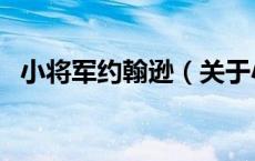 小将军约翰逊（关于小将军约翰逊的介绍）