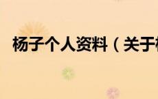 杨子个人资料（关于杨子个人资料的介绍）