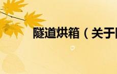 隧道烘箱（关于隧道烘箱的介绍）