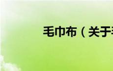 毛巾布（关于毛巾布的介绍）