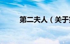 第二夫人（关于第二夫人的介绍）
