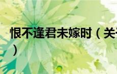恨不逢君未嫁时（关于恨不逢君未嫁时的介绍）