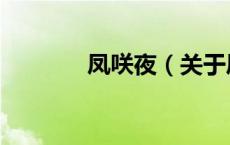 凤咲夜（关于凤咲夜的介绍）