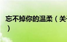忘不掉你的温柔（关于忘不掉你的温柔的介绍）