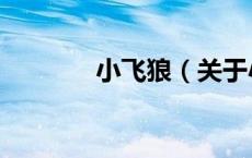 小飞狼（关于小飞狼的介绍）
