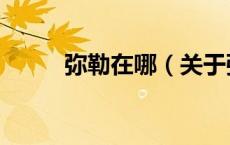 弥勒在哪（关于弥勒在哪的介绍）