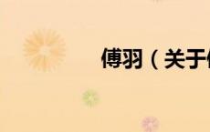 傅羽（关于傅羽的介绍）