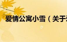 爱情公寓小雪（关于爱情公寓小雪的介绍）