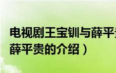 电视剧王宝钏与薛平贵（关于电视剧王宝钏与薛平贵的介绍）