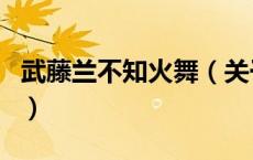 武藤兰不知火舞（关于武藤兰不知火舞的介绍）