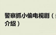 警察抓小偷电视剧（关于警察抓小偷电视剧的介绍）
