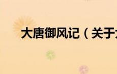大唐御风记（关于大唐御风记的介绍）