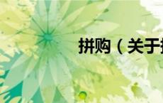拼购（关于拼购的介绍）