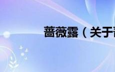 蔷薇露（关于蔷薇露的介绍）