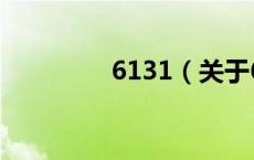 6131（关于6131的介绍）