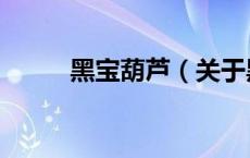 黑宝葫芦（关于黑宝葫芦的介绍）