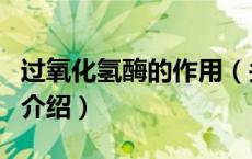 过氧化氢酶的作用（关于过氧化氢酶的作用的介绍）