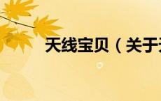 天线宝贝（关于天线宝贝的介绍）