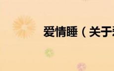 爱情睡（关于爱情睡的介绍）