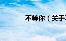 不等你（关于不等你的介绍）