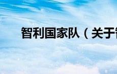 智利国家队（关于智利国家队的介绍）