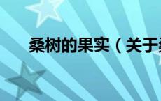 桑树的果实（关于桑树的果实的介绍）