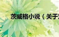 茨威格小说（关于茨威格小说的介绍）