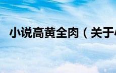 小说高黄全肉（关于小说高黄全肉的介绍）