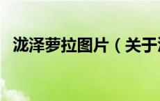 泷泽萝拉图片（关于泷泽萝拉图片的介绍）