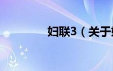 妇联3（关于妇联3的介绍）