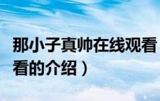 那小子真帅在线观看（关于那小子真帅在线观看的介绍）