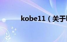 kobe11（关于kobe11的介绍）