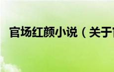 官场红颜小说（关于官场红颜小说的介绍）