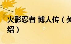 火影忍者 博人传（关于火影忍者 博人传的介绍）