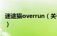 迷途猫overrun（关于迷途猫overrun的介绍）