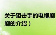 关于狙击手的电视剧（关于关于狙击手的电视剧的介绍）