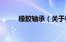 橡胶轴承（关于橡胶轴承的介绍）