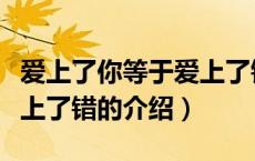 爱上了你等于爱上了错（关于爱上了你等于爱上了错的介绍）