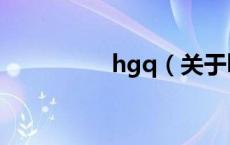 hgq（关于hgq的介绍）