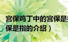 宫保鸡丁中的宫保是指（关于宫保鸡丁中的宫保是指的介绍）