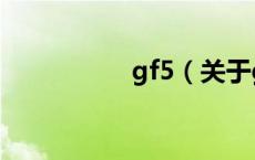 gf5（关于gf5的介绍）