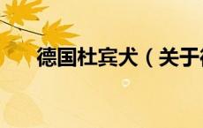 德国杜宾犬（关于德国杜宾犬的介绍）