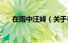 在雨中汪峰（关于在雨中汪峰的介绍）