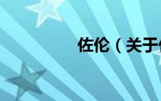 佐伦（关于佐伦的介绍）