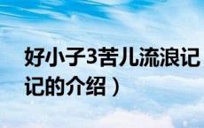 好小子3苦儿流浪记（关于好小子3苦儿流浪记的介绍）