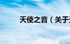 天使之音（关于天使之音的介绍）